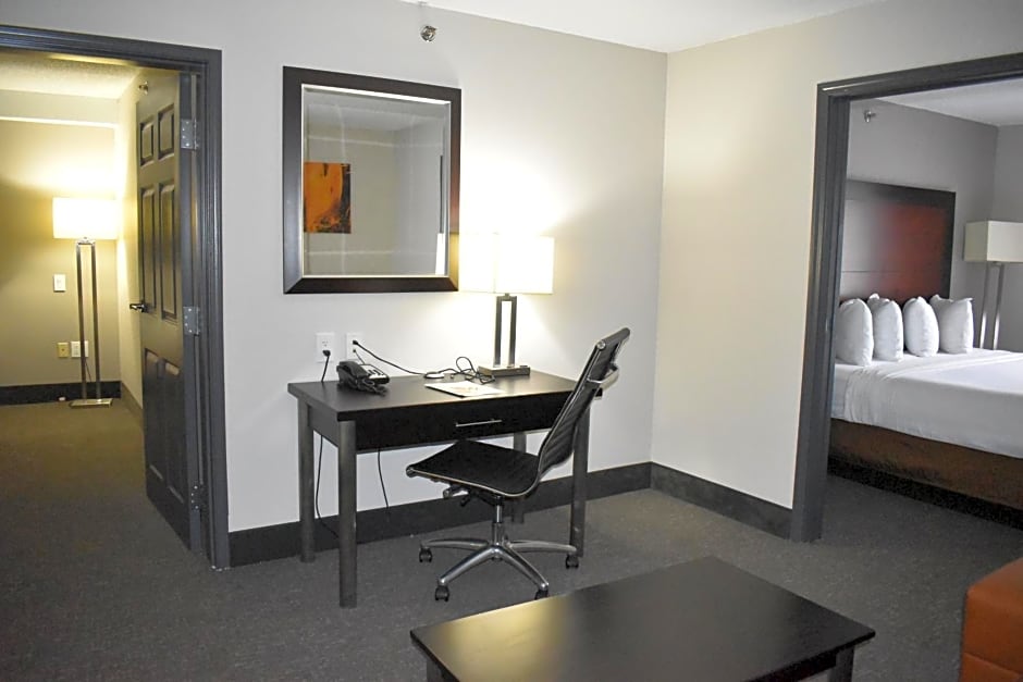 Wingate by Wyndham Atlanta Galleria/ Ballpark