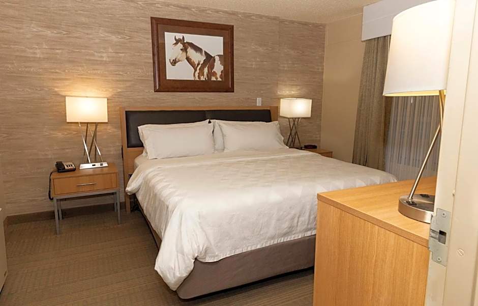 Holiday Inn Spearfish-Convention Center By IHG