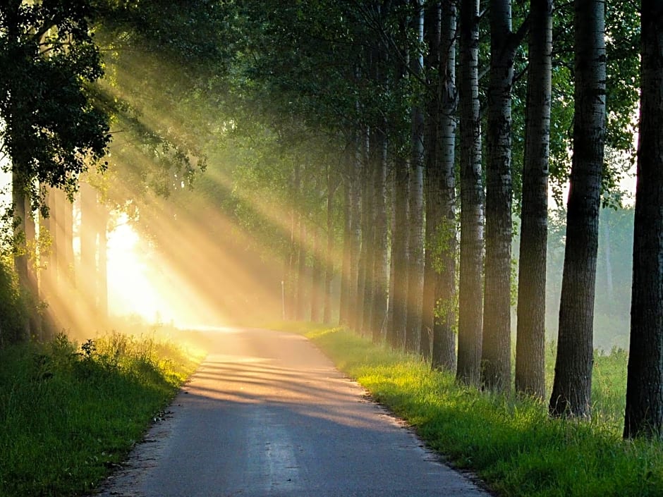 Bed & Breakfast De Schuur Inn