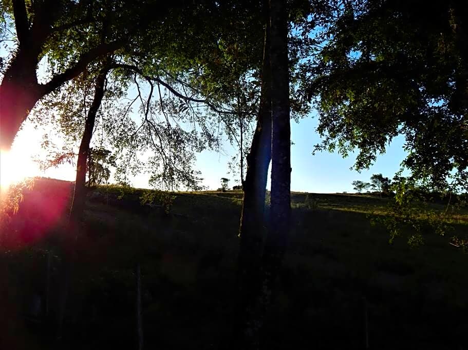 Casa com vista para o vale - Serra Gaúcha