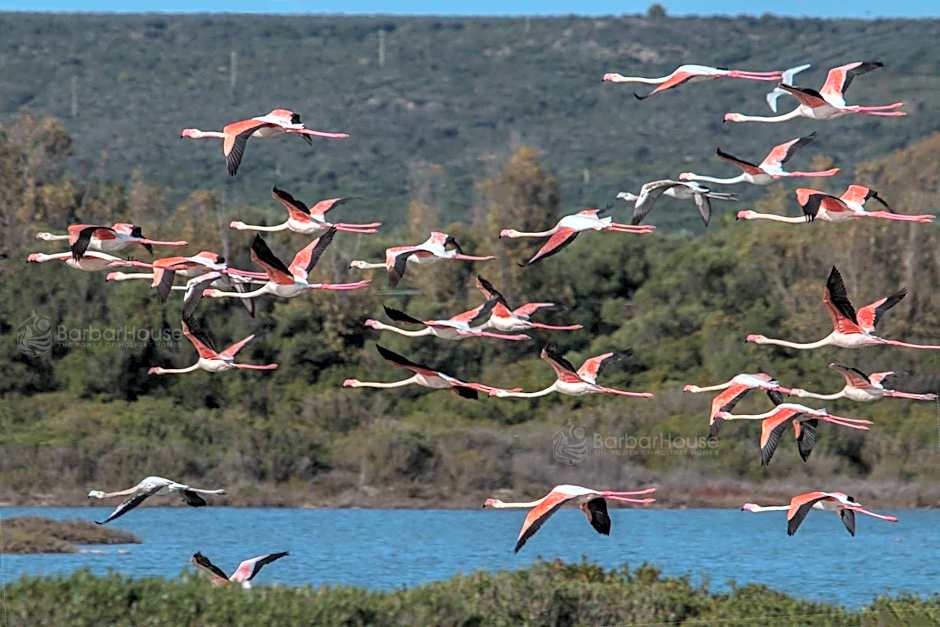 Residence La Scogliera