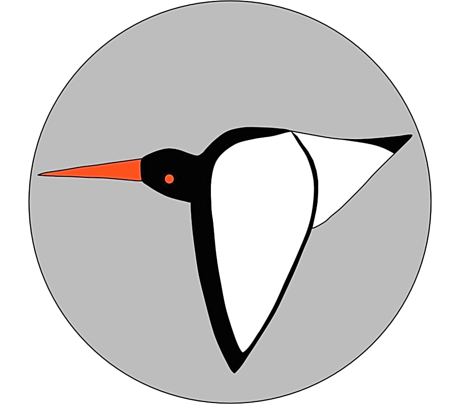Oystercatcher