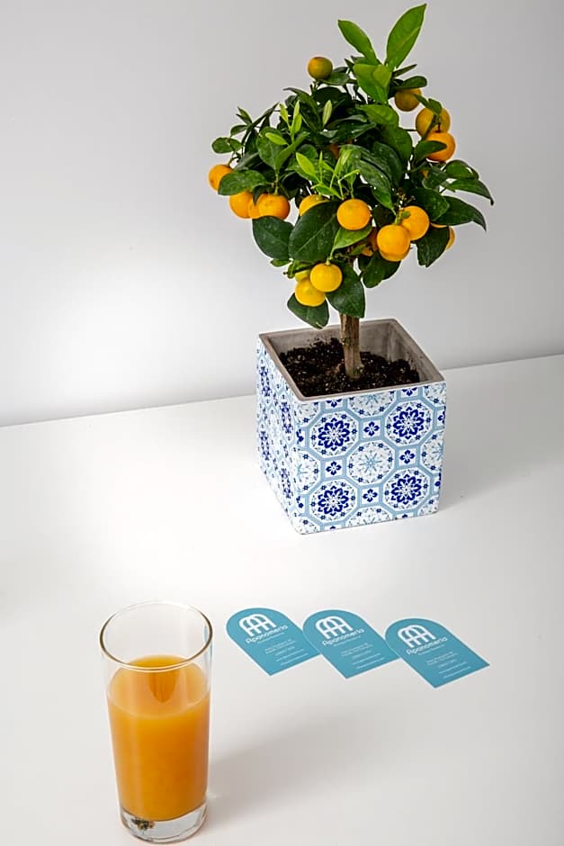 Apanomeria Boutique Residence