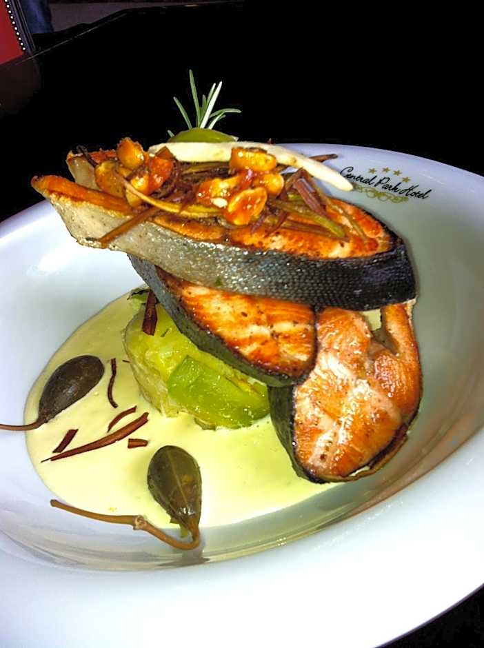 Hotel Central Park Sighisoara