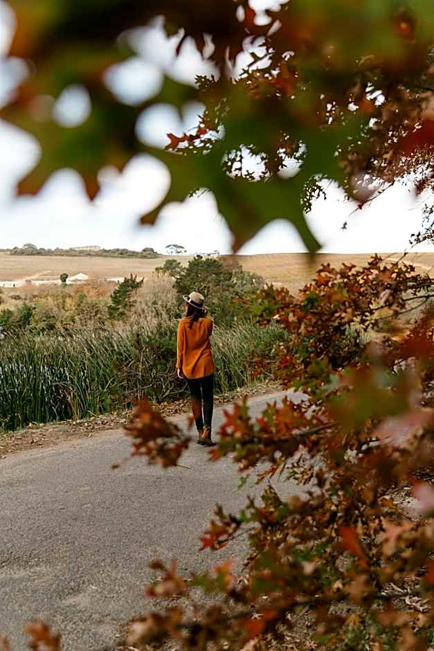 Zevenwacht Country Inn