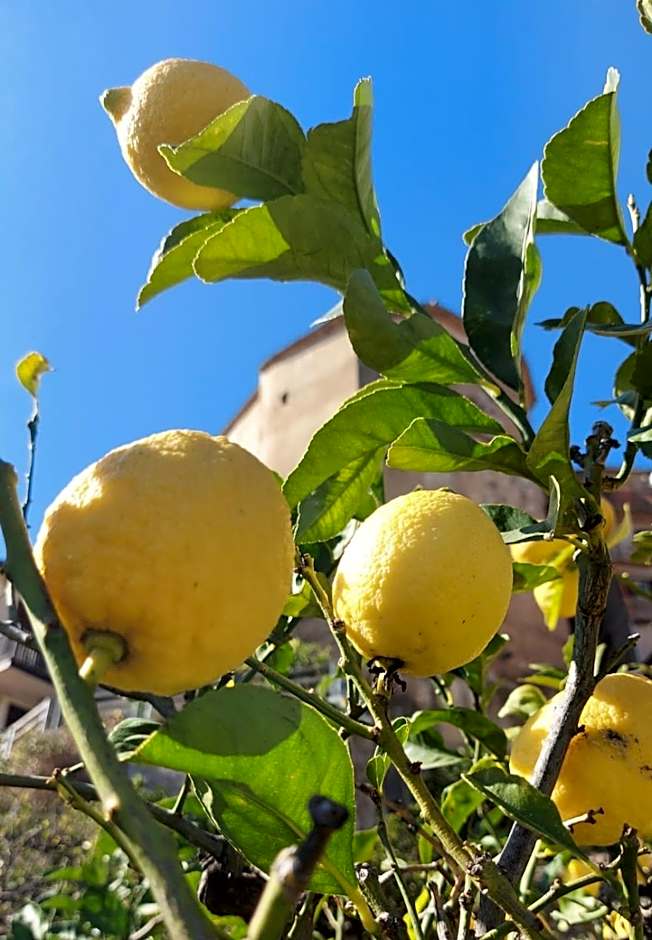 La Casa sul Blu Albergo Diffuso
