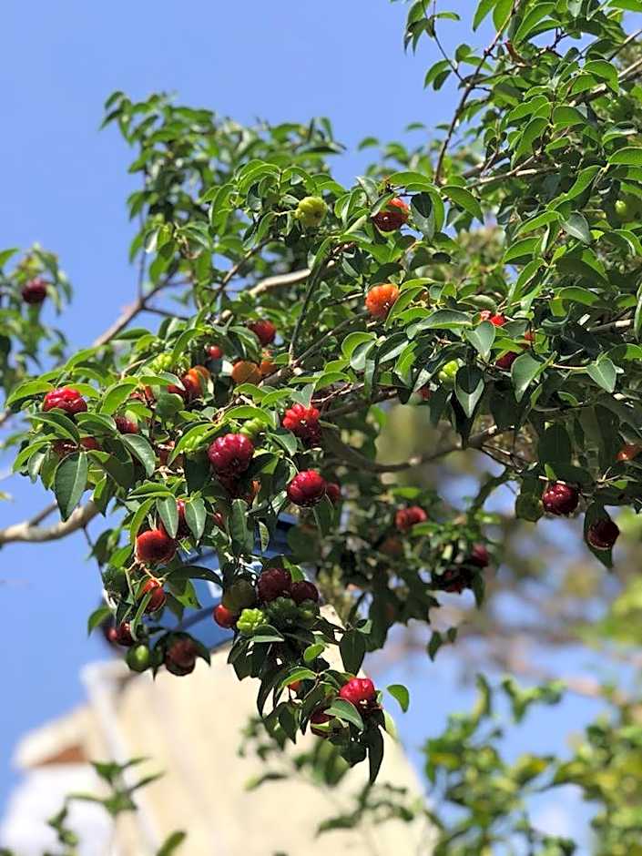 Pousada Casa do Cerrado - Alto Paraíso de Goiás