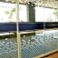 Hampton Inn By Hilton Tampico Zona Dorada