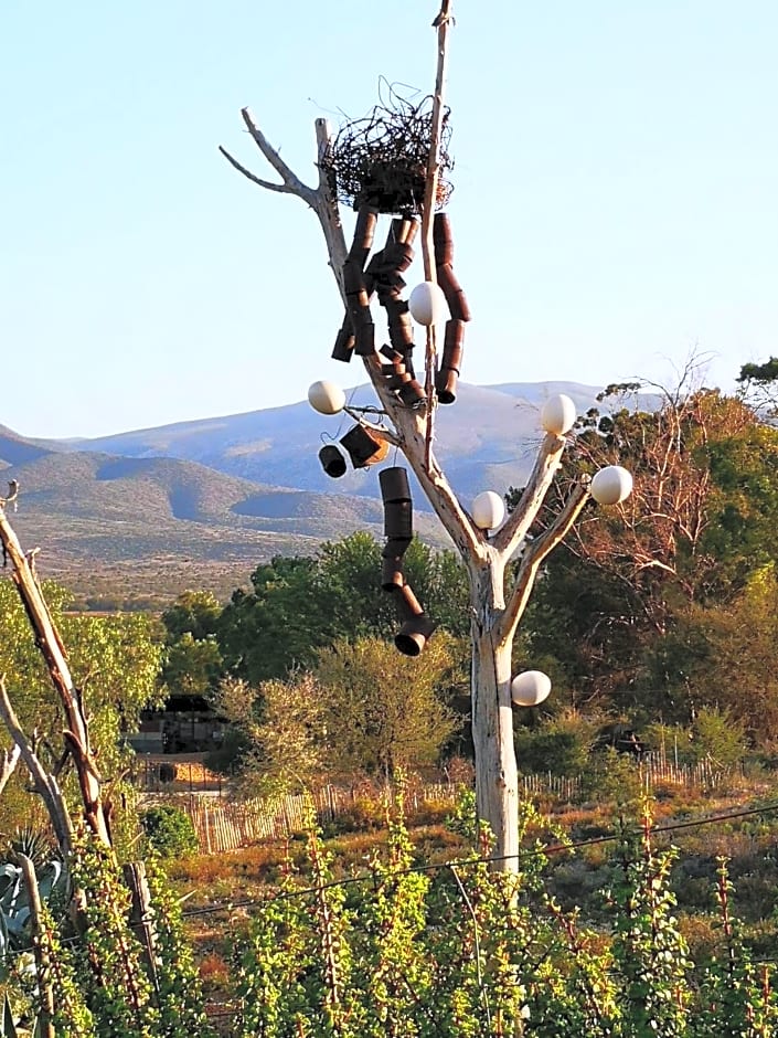 Amber Lagoon Eco Retreat - Chalets, Rooms and Glamping