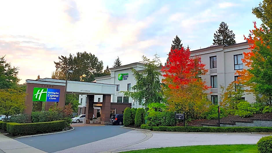Holiday Inn Express and Suites Surrey By IHG