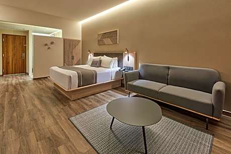 Superior King Room with Sofa Bed