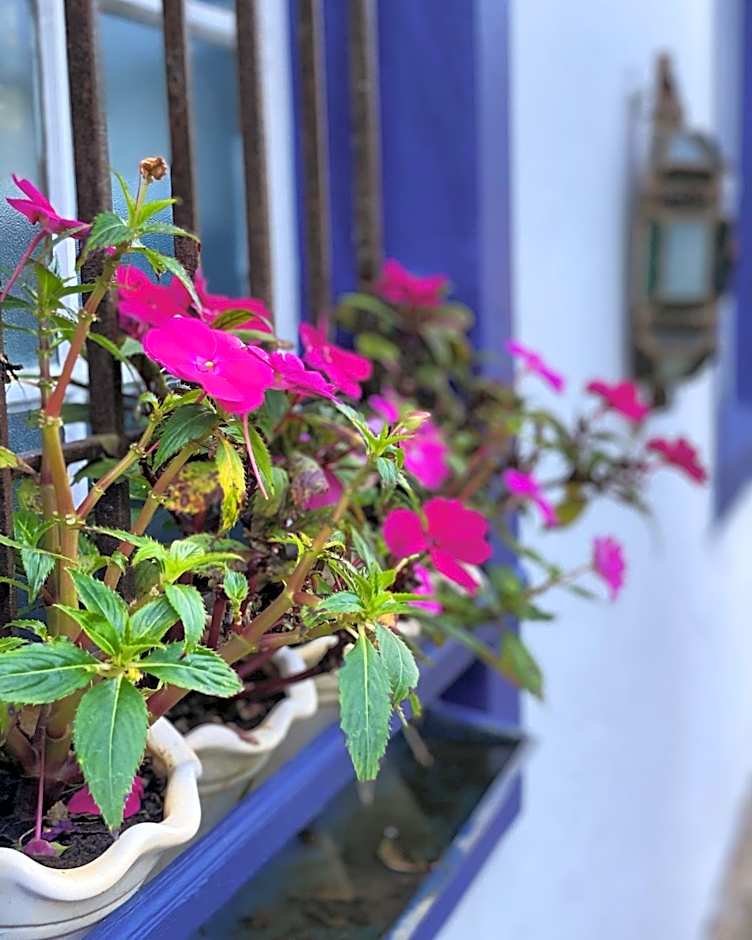 Segredo da Serra Guest House