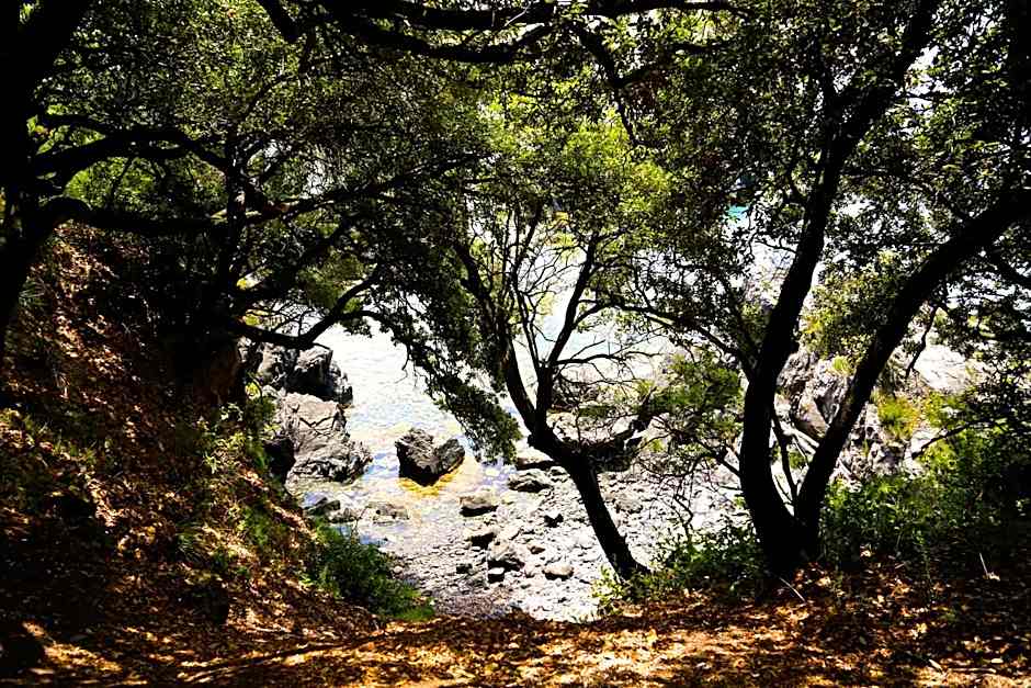 illicini stabilimento balneare e albergo