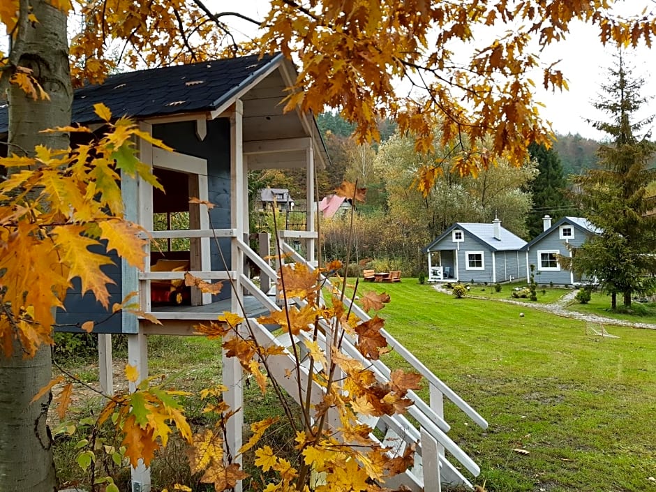 Domki w Dolinie Wieżycy