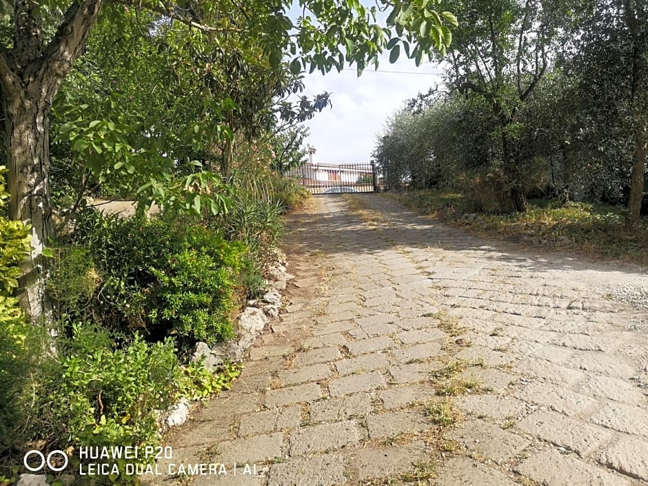 Ape Regina agriturismo 2 Montelarco