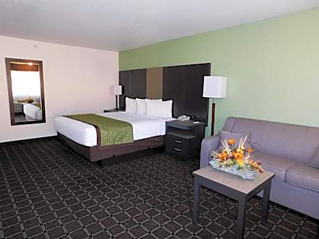 King Studio Suite - Non-Smoking