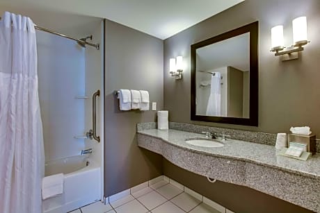 1 King Bed 1 Bedroom Suite