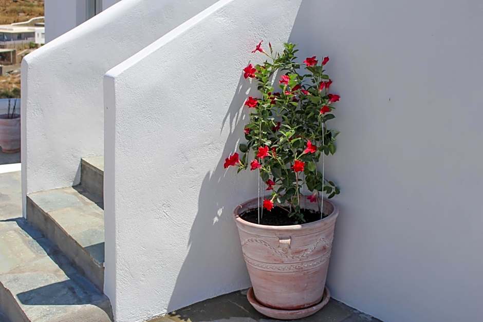 Crystal View Mykonos