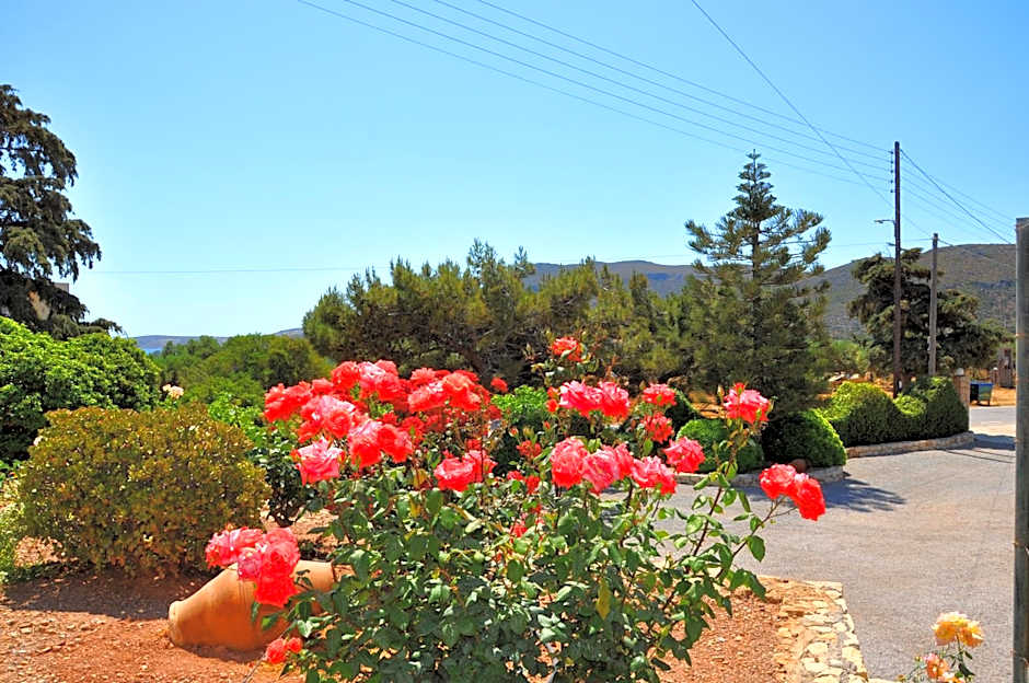 Lagos Studios & Apartments