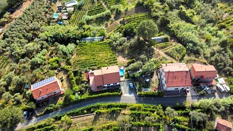 In Vino Veritas B&B