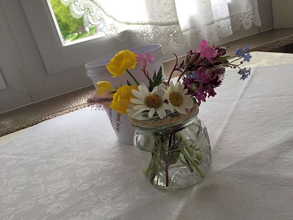 Fedaia Joy B&B
