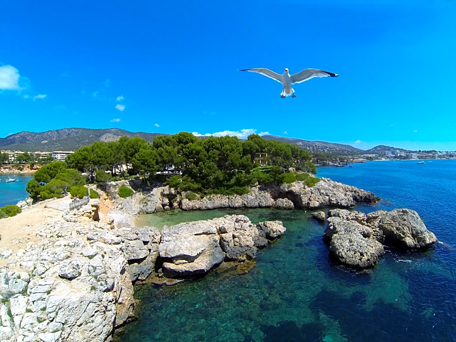 Boutique Hotel H10 Punta Negra