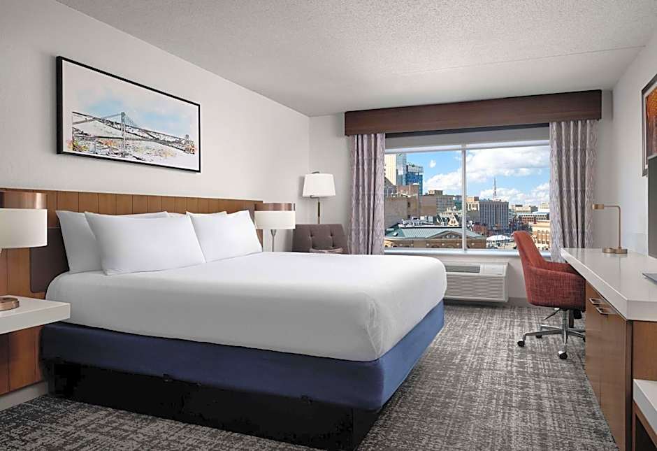 Hilton Garden Inn Detroit/Downtown