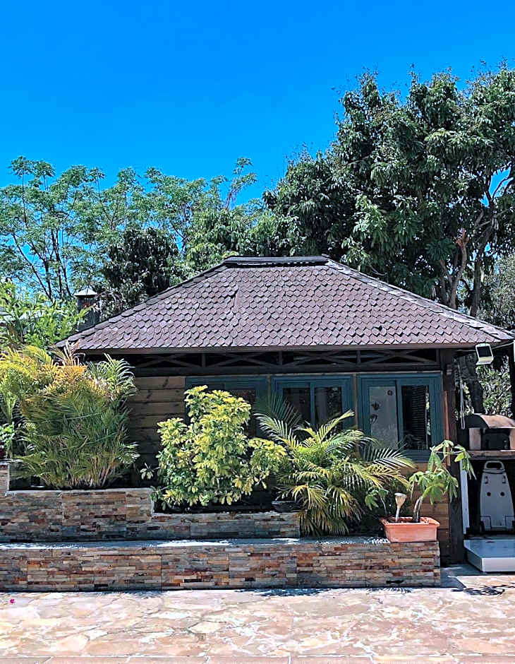 Lotus Garden - Île de la Réunion