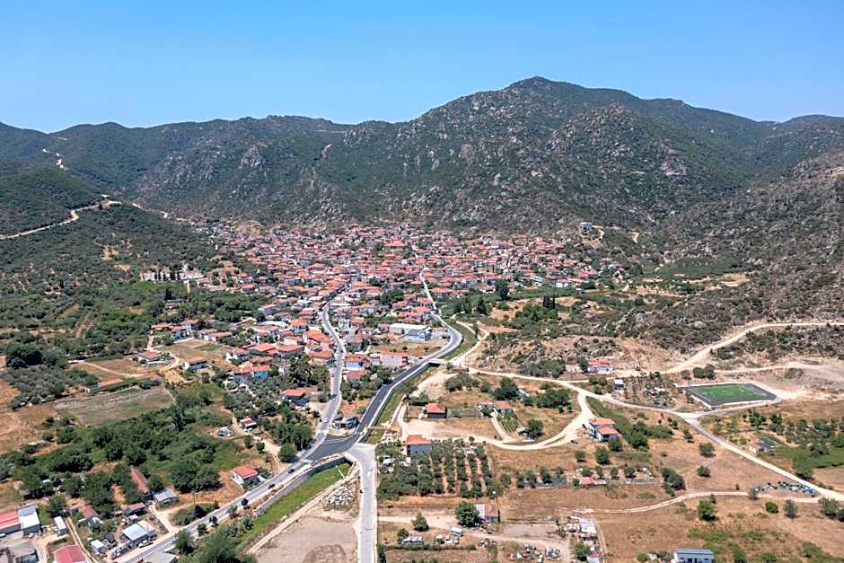 VSP RENT ROOMS FUeGO