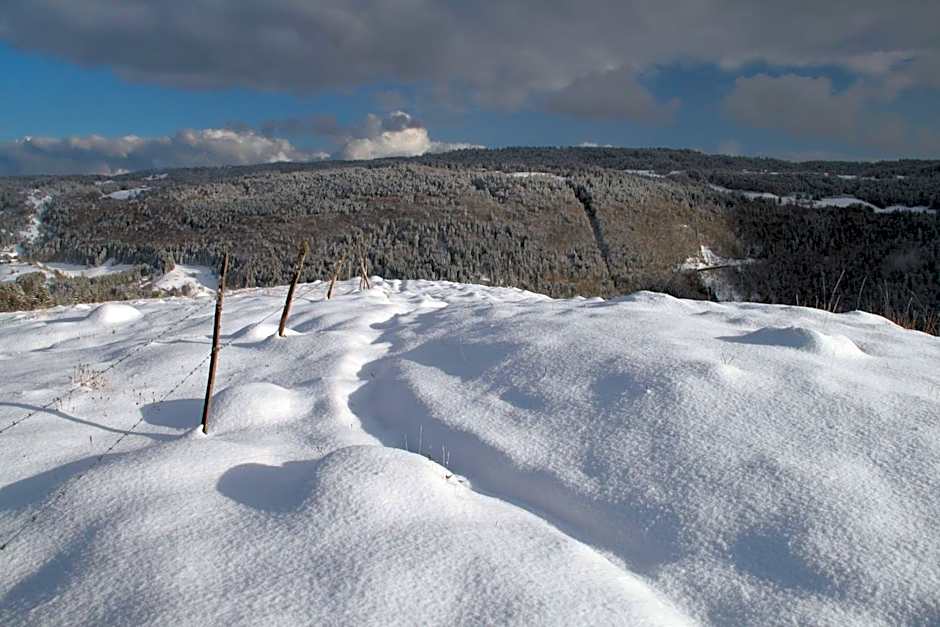 Au Coeur du Lapidaire