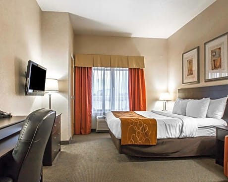 1 Bedroom King Suite