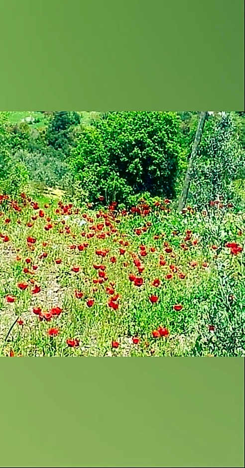 Adrasan Maviay Hotel