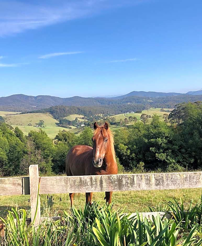 Tiny Nerak, Nethercote near Eden