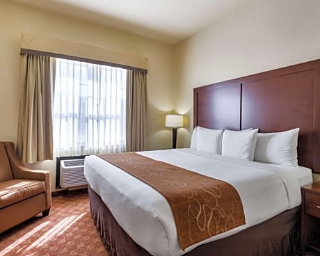 1 King Bed, Suite, Nonsmoking