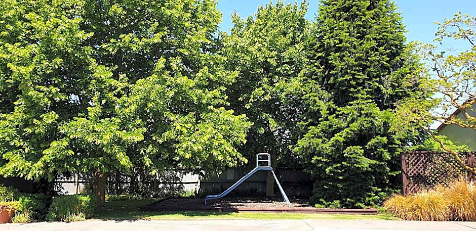 Commodore Motor Lodge