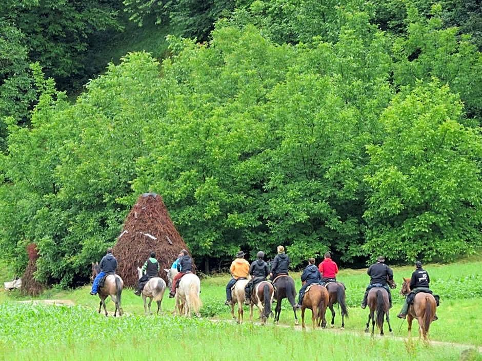 Albergue Olasenea Aterpea