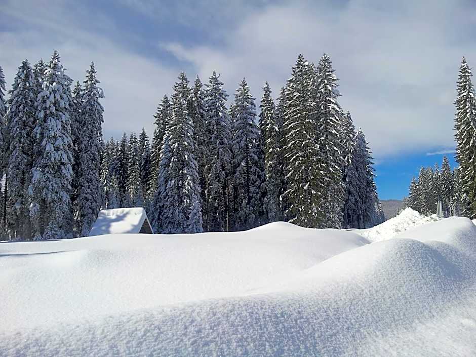 Hotel Jelka Pokljuka