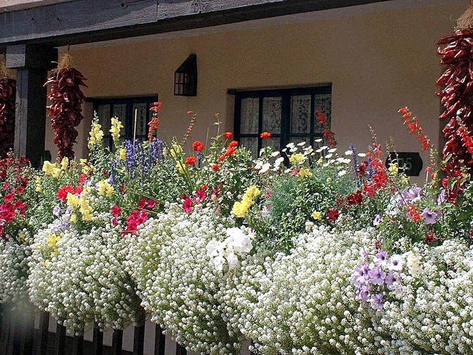 Inn Of The Governors