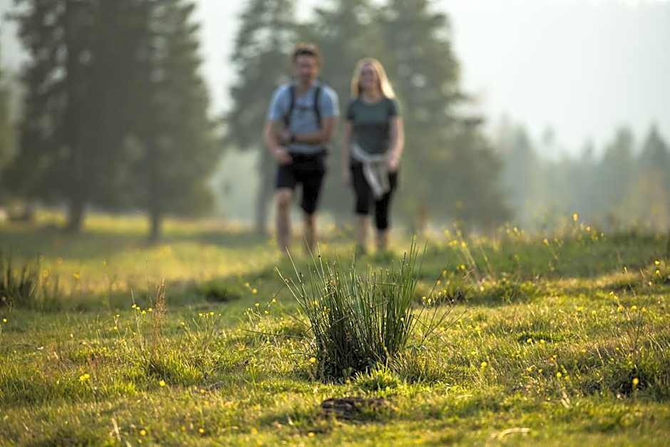 Rogla – Hotel Rogla