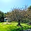 Newlands Bed and Breakfast