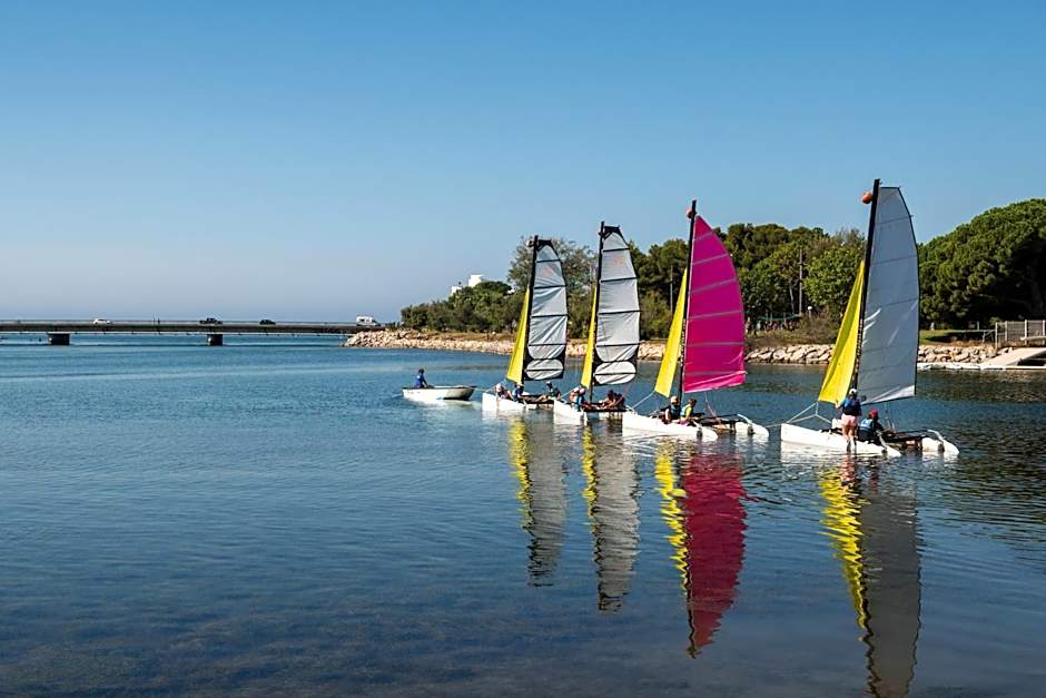 SOWELL Family Grau du Roi