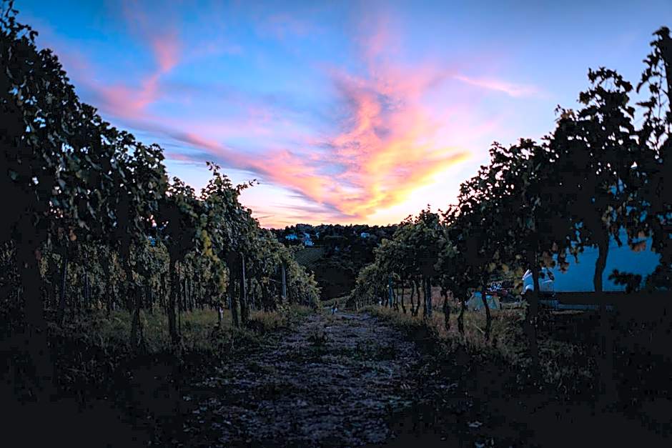 Hotel & Restaurant Ritter Jörg