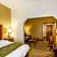 Comfort Suites Cookeville
