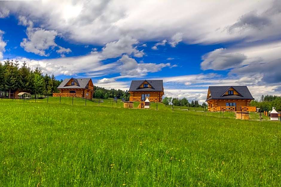 NOVAK CHALET domki z balią Krynica Zdrój