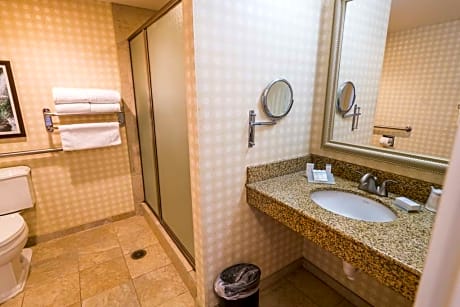 2 Queen Mobility Hearing Accessible 3X3 Shower