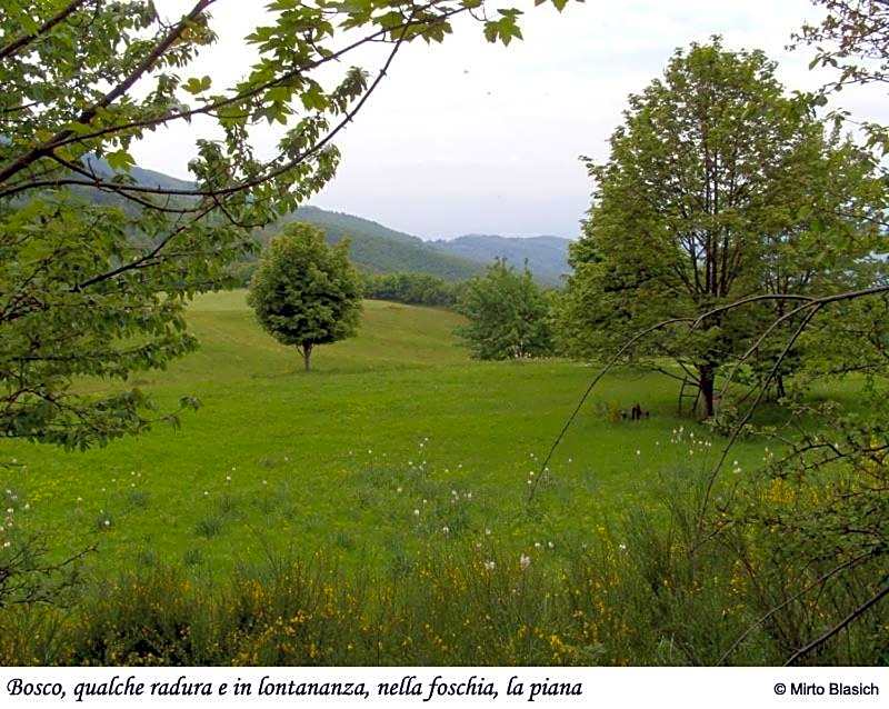 Albergo Ristorante Guidi