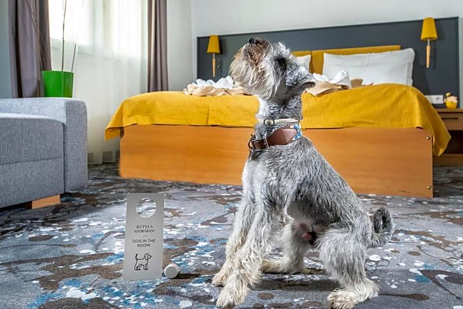 Zsóry Liget Hotel & Spa Superior