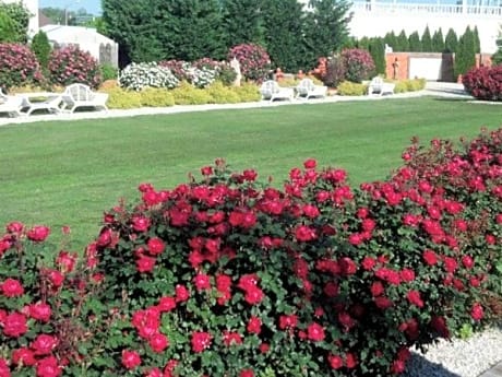 dover garden suites