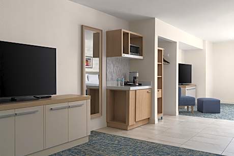 One-Bedroom King Suite