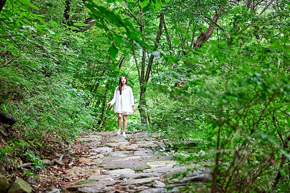 Osaek Greenyard Hotel